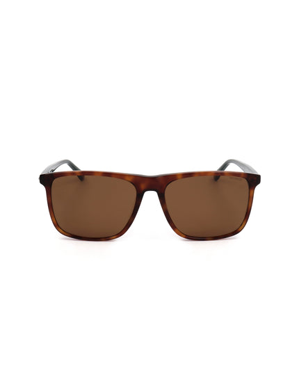 Le-Coq-Sportif sunglasses | Spazio Ottica