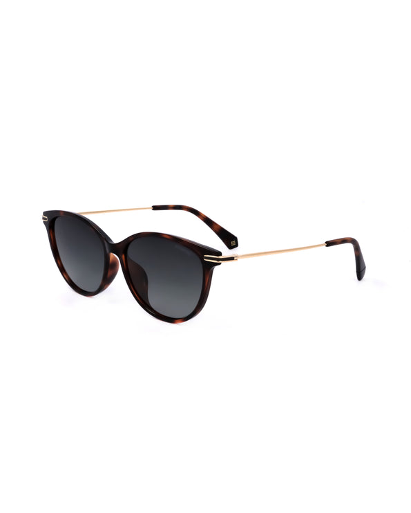 
PLD 4085/F/S - SUNGLASSES | Spazio Ottica
