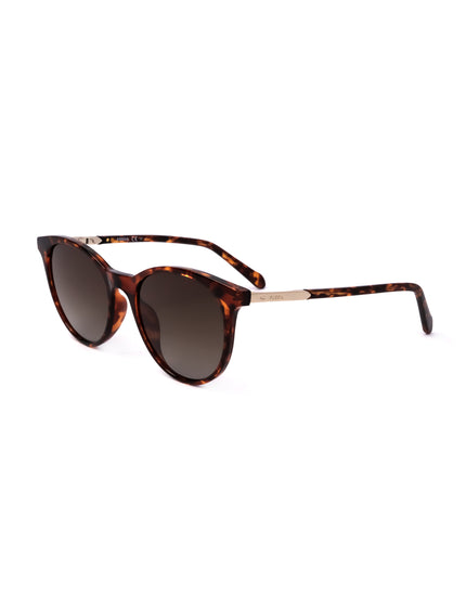 Fossil sunglasses | Spazio Ottica