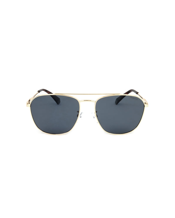 
PLD 4127/G/S - MEN'S SUNGLASSES | Spazio Ottica
