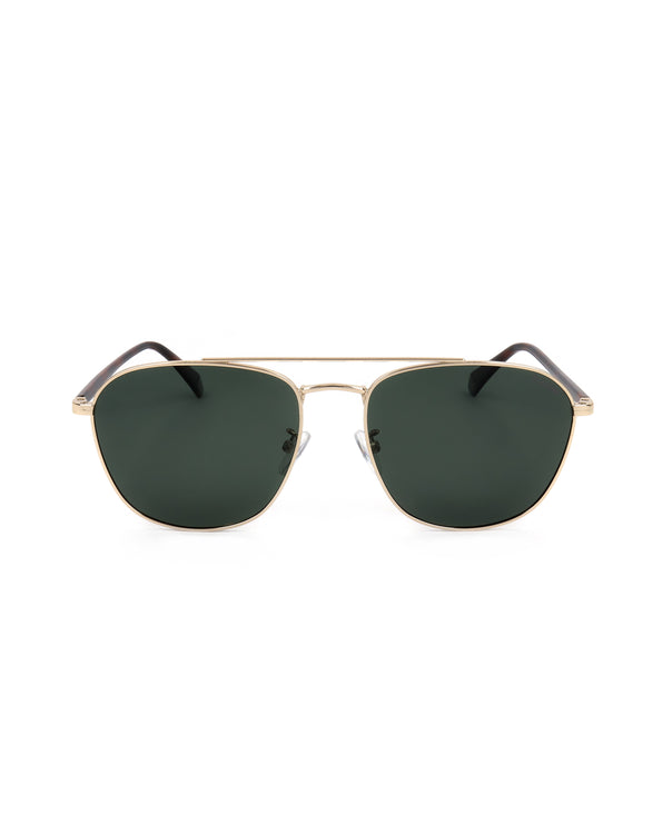 
PLD 2106/G/S - SUNGLASSES | Spazio Ottica
