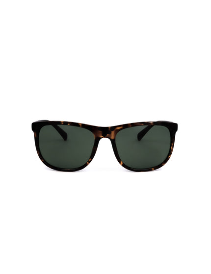 Calvin-Klein sunglasses | Spazio Ottica