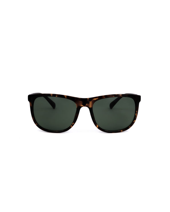 
Calvin-Klein sunglasses - CALVIN KLEIN | Spazio Ottica
