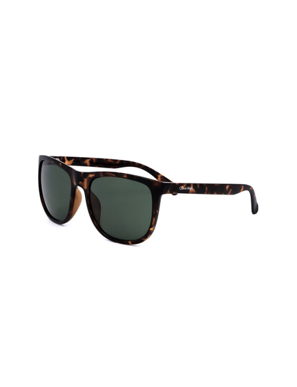 Calvin-Klein sunglasses | Spazio Ottica