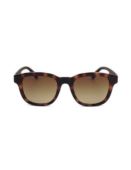 Gafas de sol Lacoste | Spazio Ottica